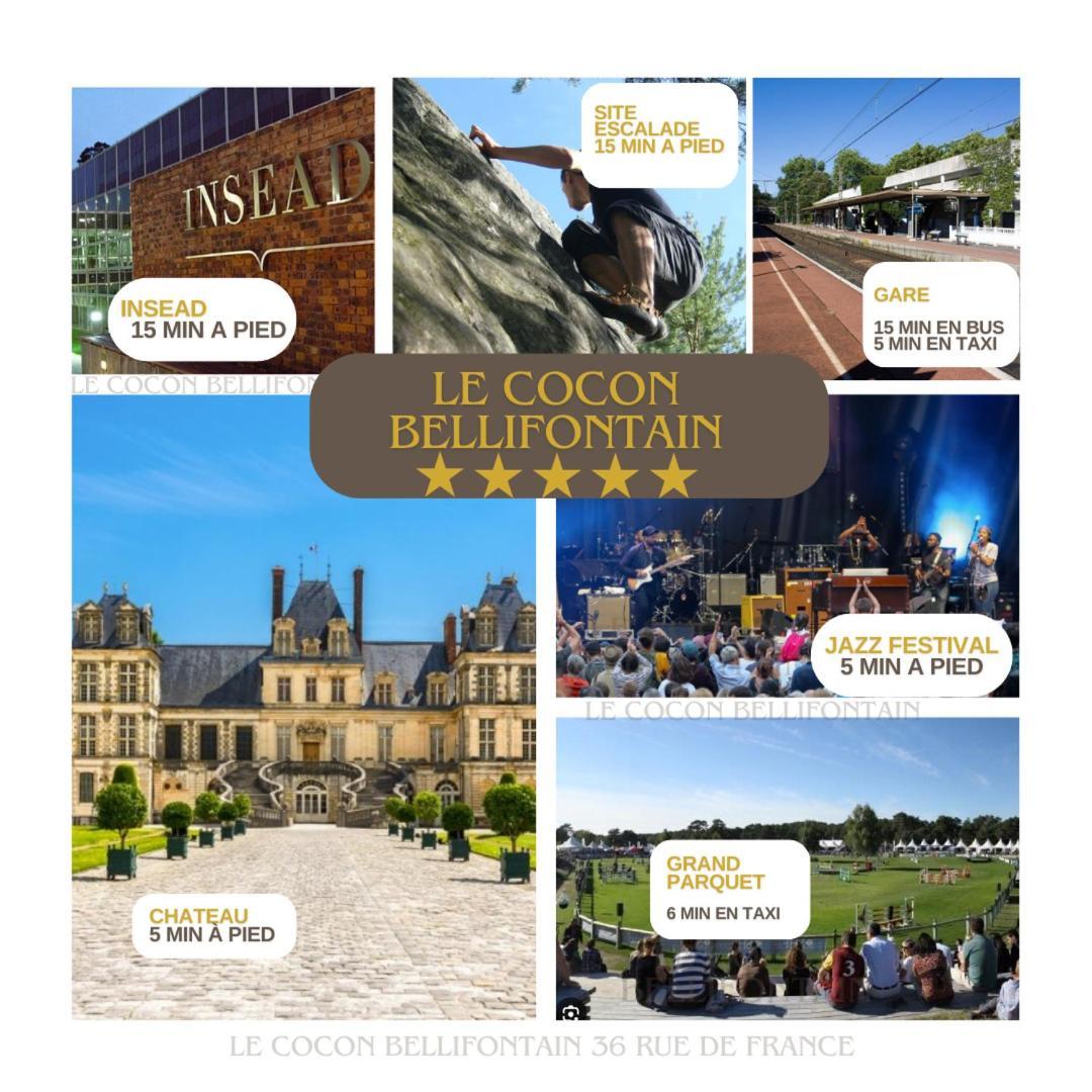 Le Cocon De Fontainebleau - Centre-Ville, Proche Insead & Chateau Exteriör bild