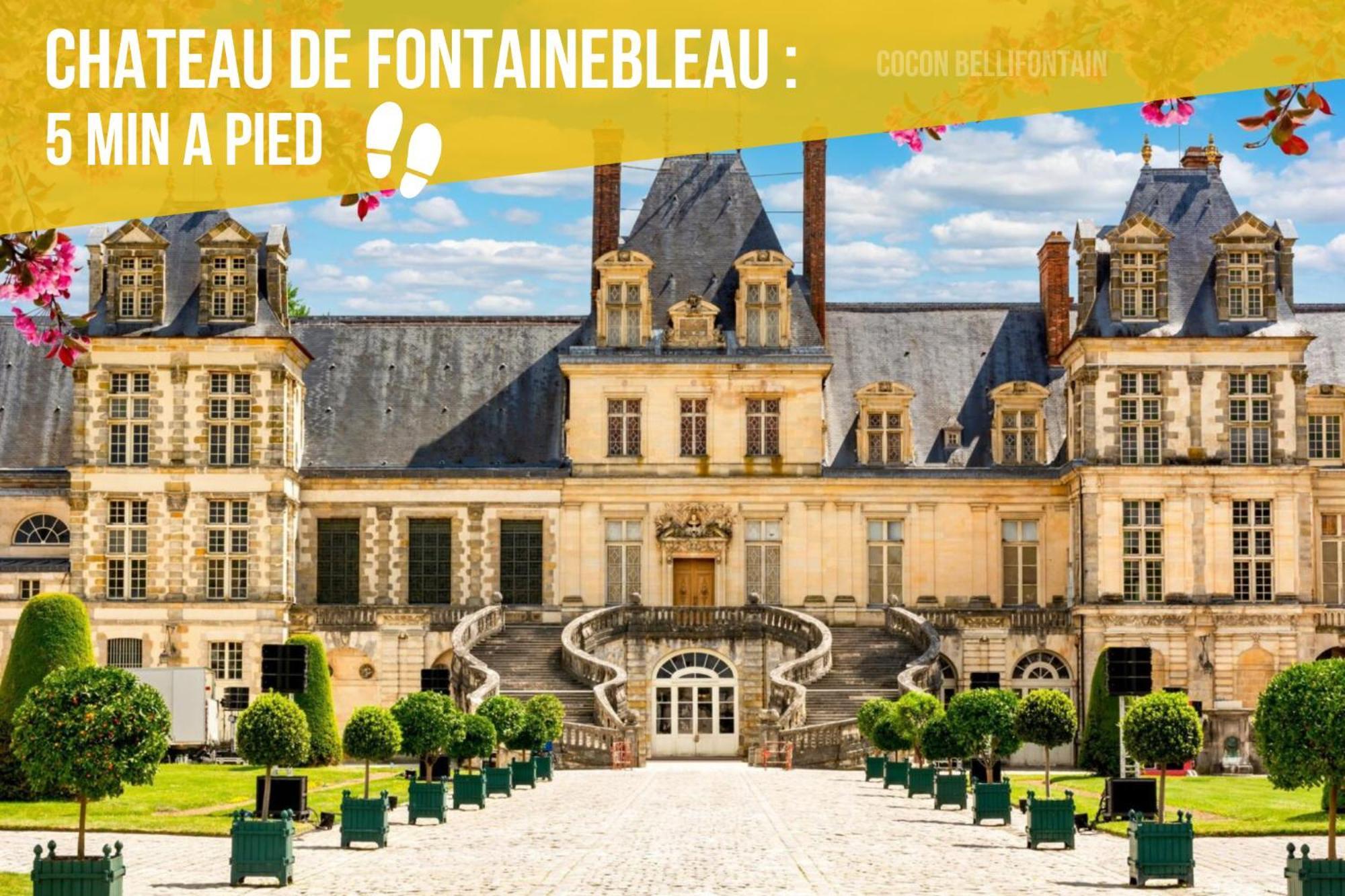 Le Cocon De Fontainebleau - Centre-Ville, Proche Insead & Chateau Exteriör bild
